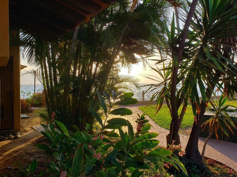 Hermoso Alojamiento En Los Tules, Frente Al Mar En Medio De Hermosos Jardines, Es Unico!!! Puerto Vallarta Exteriér fotografie