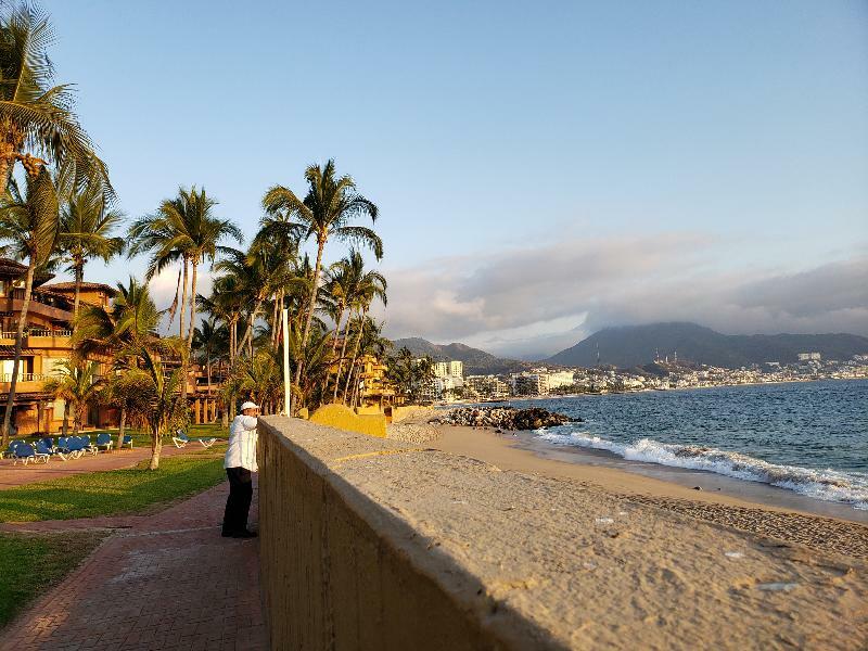Hermoso Alojamiento En Los Tules, Frente Al Mar En Medio De Hermosos Jardines, Es Unico!!! Puerto Vallarta Exteriér fotografie